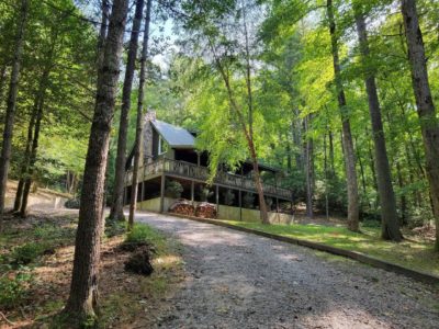 Hawks Whistle: Log Cabin in the Forest