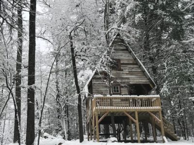 Sereni-Tree House